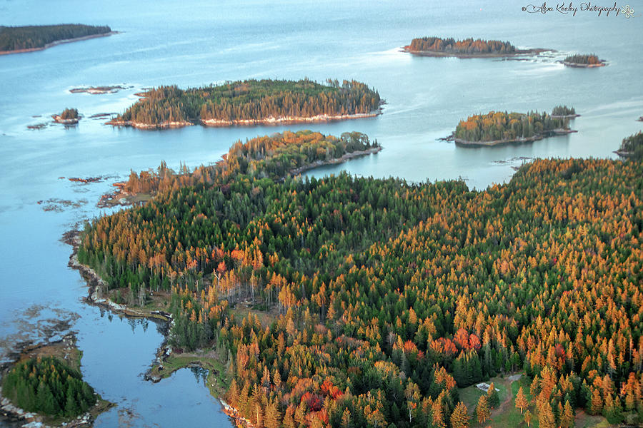 Autumn Shoals Of Acadia Photograph