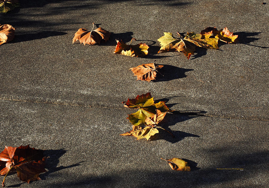 Autumn Sidewalk Art Photograph by Richard Thomas