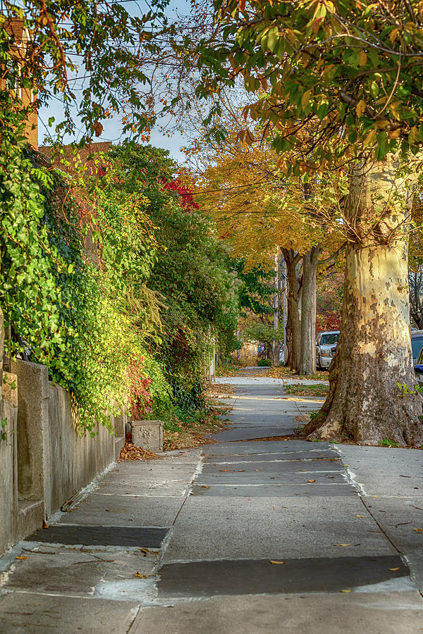 Autumn Sidewalk Photograph by Cate Franklyn