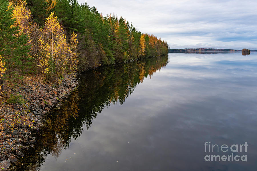 Autumn Photograph - Autumn Silence 9 by Torfinn Johannessen