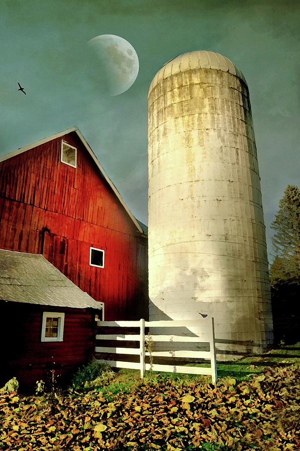 Autumn Silo Photograph by Diana Angstadt