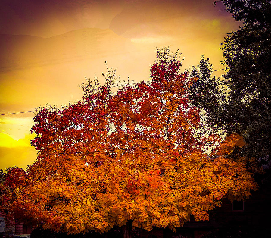 Autumn skies Digital Art by James Inlow