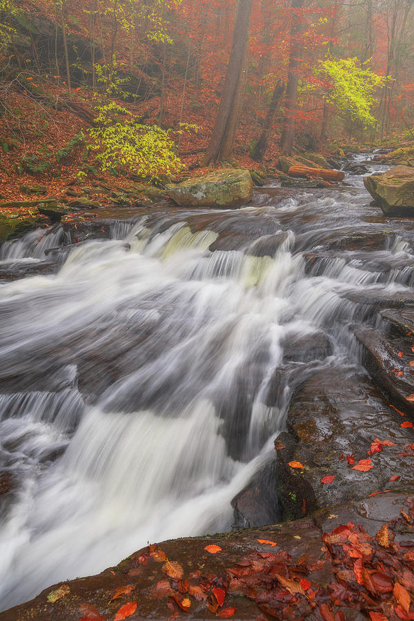 Autumn Slide Photograph by Darren White