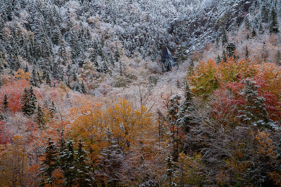 Autumn snow and waterfall on Sugarloaf Mountain #5057 Photograph by Irwin Barrett