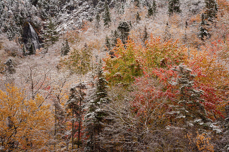 Autumn snow and waterfall on Sugarloaf Mountain #5124 Photograph by Irwin Barrett