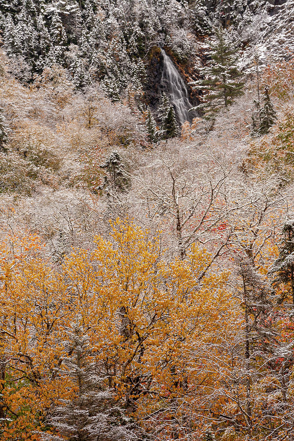 Autumn snow and waterfall on Sugarloaf Mountain #5132 Photograph by Irwin Barrett