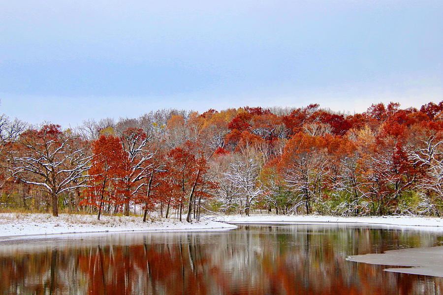 Autumn Snow Photograph by Sarah Lilja