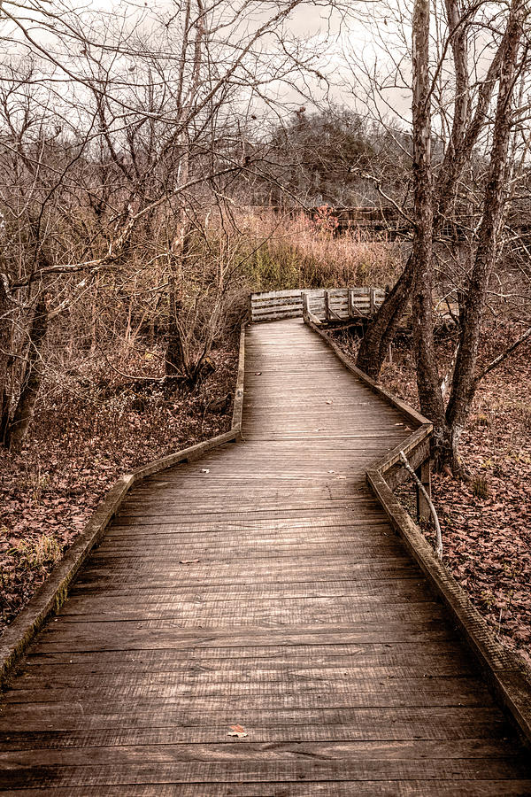 Autumn Soft Morning Mystery Photograph by Debra and Dave Vanderlaan