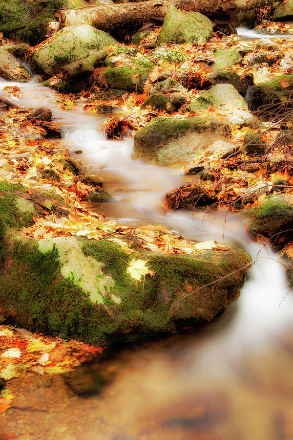 Autumn Soft Stream fx Photograph by Dan Carmichael