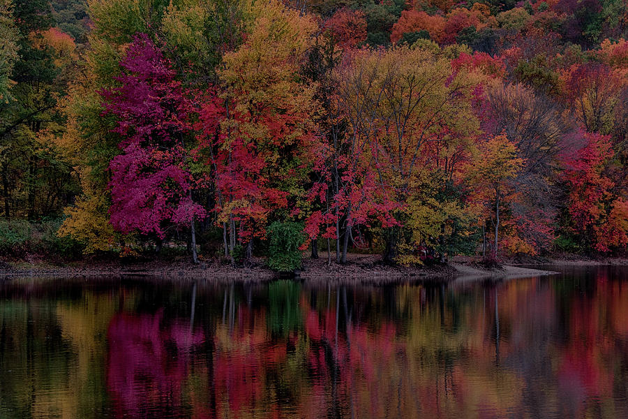 Autumn Splender Photograph by Alan Goldberg