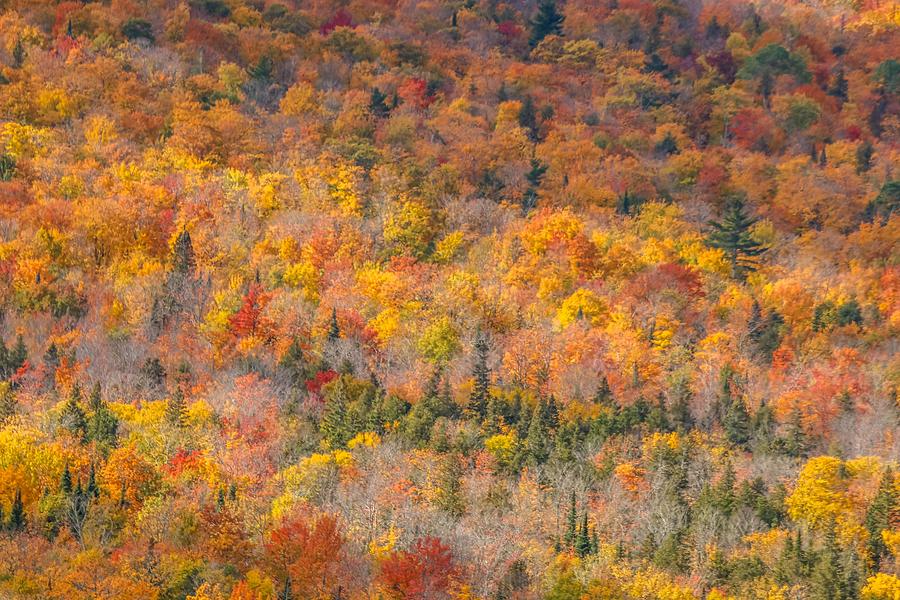 Autumn Splender at Brockway Mountain Photograph by Susan Rydberg