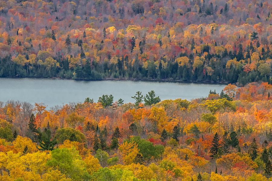 Autumn Colors at Garden Brook River Photograph by Susan Rydberg