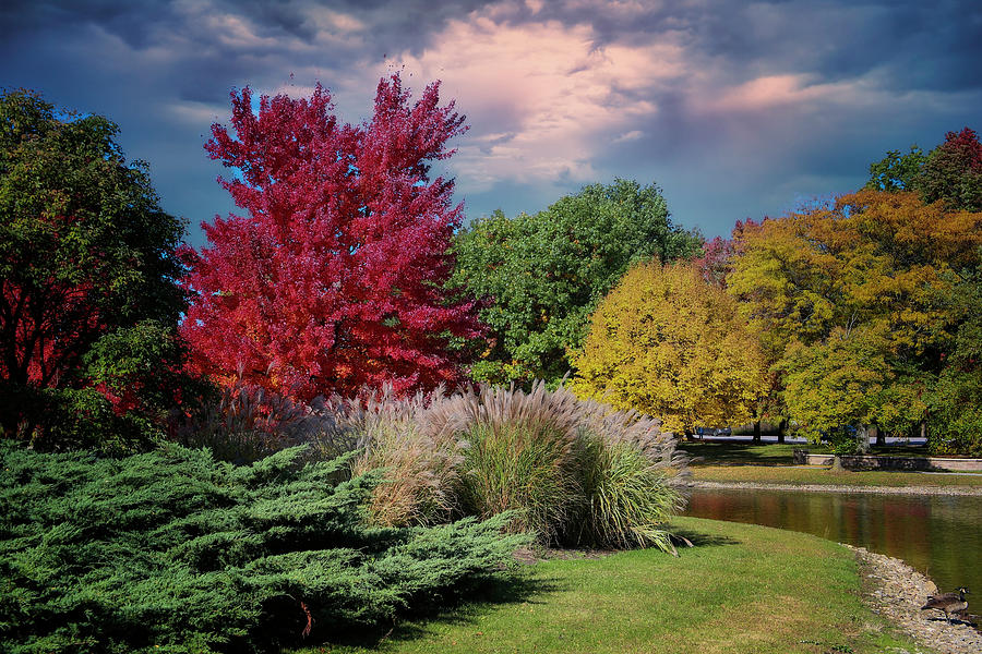 Autumn Splender Photograph by Mary Timman