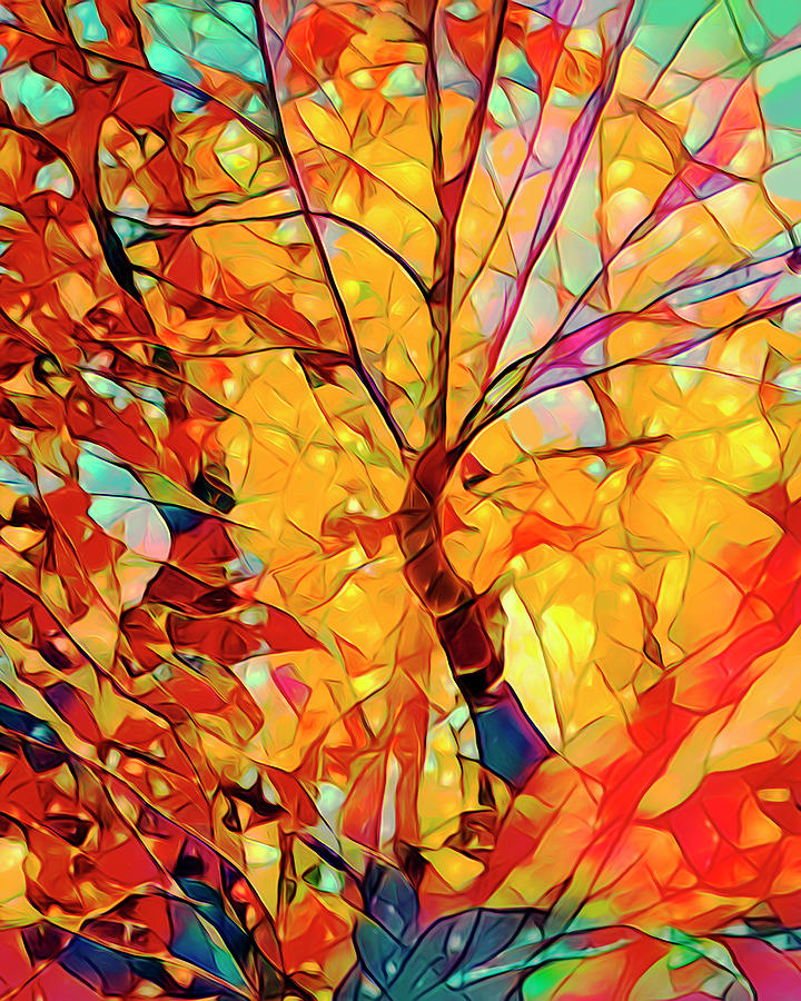 Autumn Splendor Abstract Tree Photograph by Ann Powell