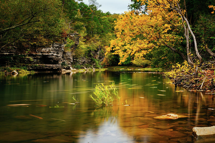 Autumn Splendor Along The Illinois Bayou - Arkansas Photograph by Gregory Ballos