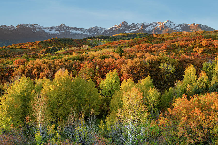 Autumn Splendor Photograph by Angela Moyer