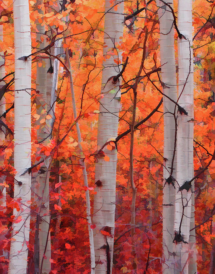 Fall Photograph - Autumn Splendor by Don Schwartz