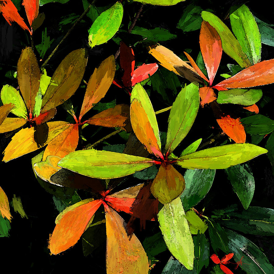 Autumn Splendor Digital Art by Gina Harrison