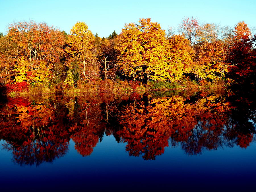 Autumn Splendor Photograph by Jacqueline M Lewis