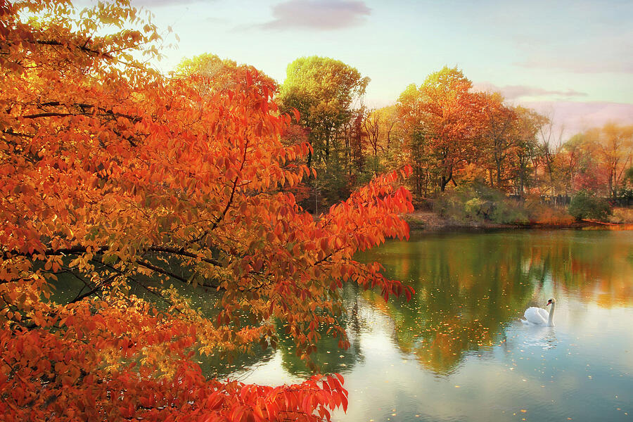Nature Photograph - Autumn Splendor by Jessica Jenney