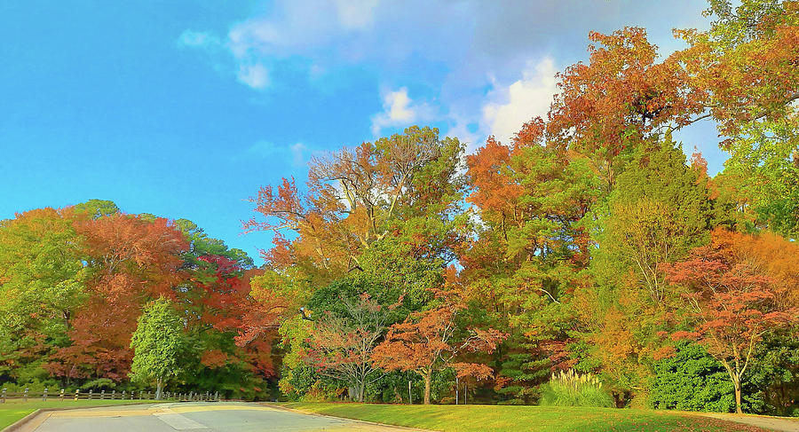 Splendor of Colors in Autumn Photograph by Ola Allen