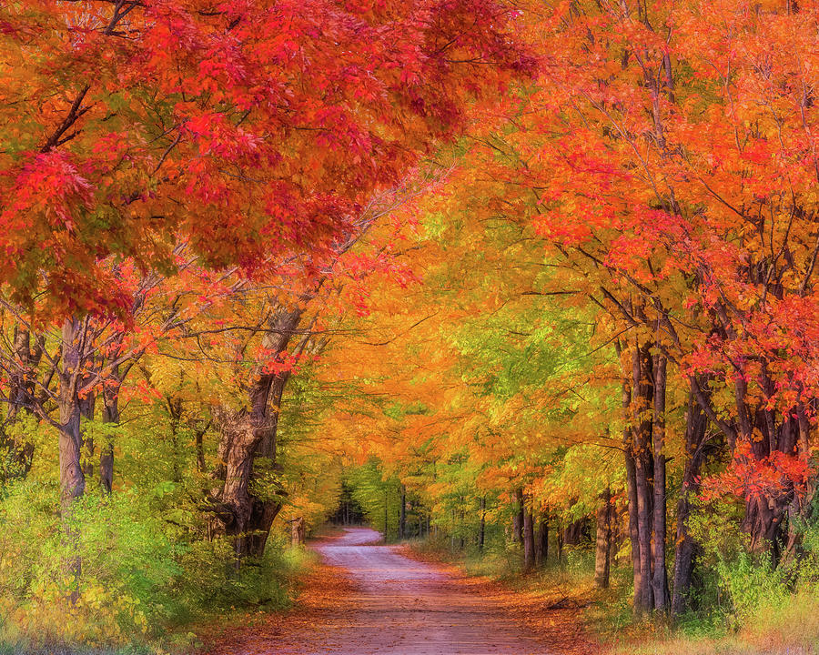 Autumn Splendor Photograph by Sheen Watkins