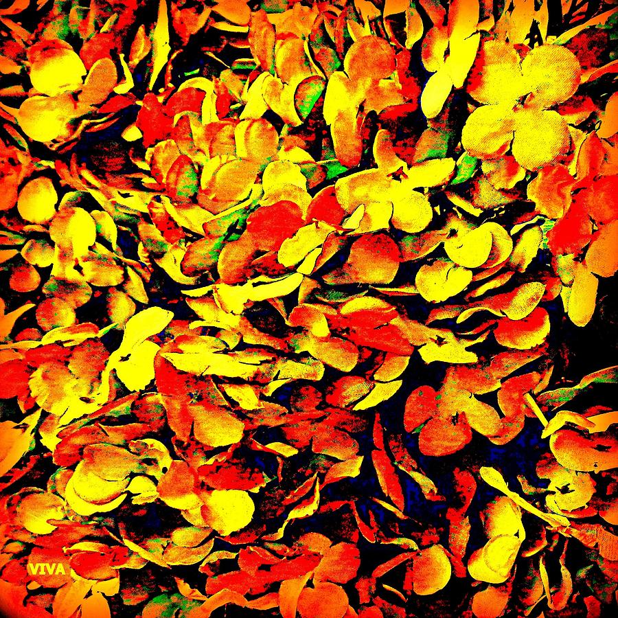 Autumn Splendor -  Unframed Photograph by VIVA Anderson