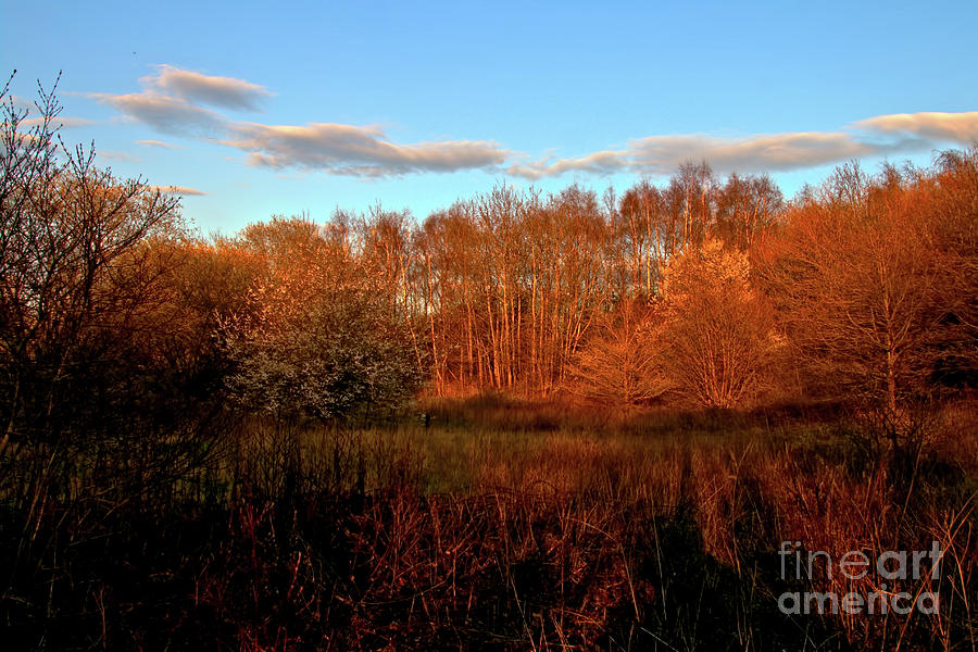 Autumn splendour Photograph by Baggieoldboy