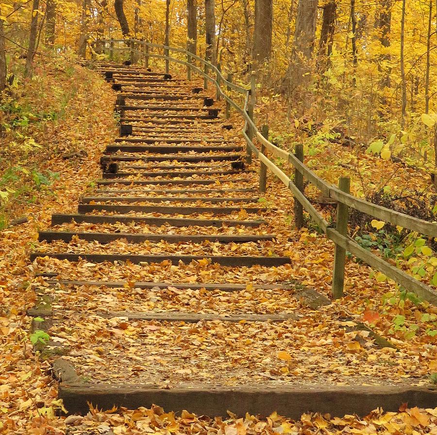 Autumn Stairway Photograph By Lori Frisch - Fine Art America