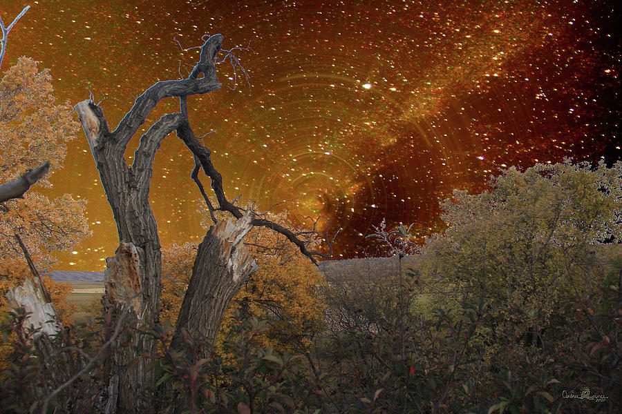 Autumn Star Trail Digital Art by Andrea Lawrence