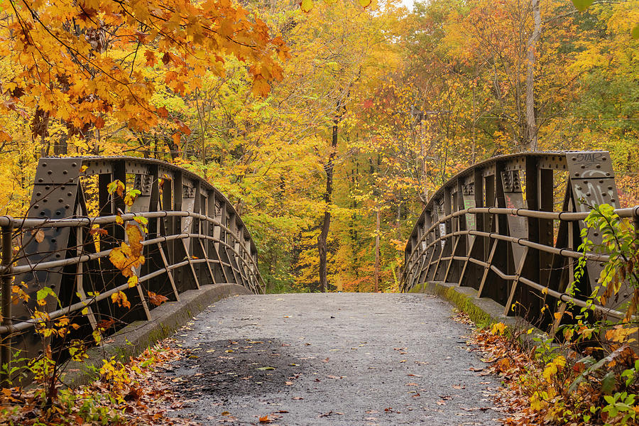 Autumn Steel Bridge in New York Photograph by Auden Johnson