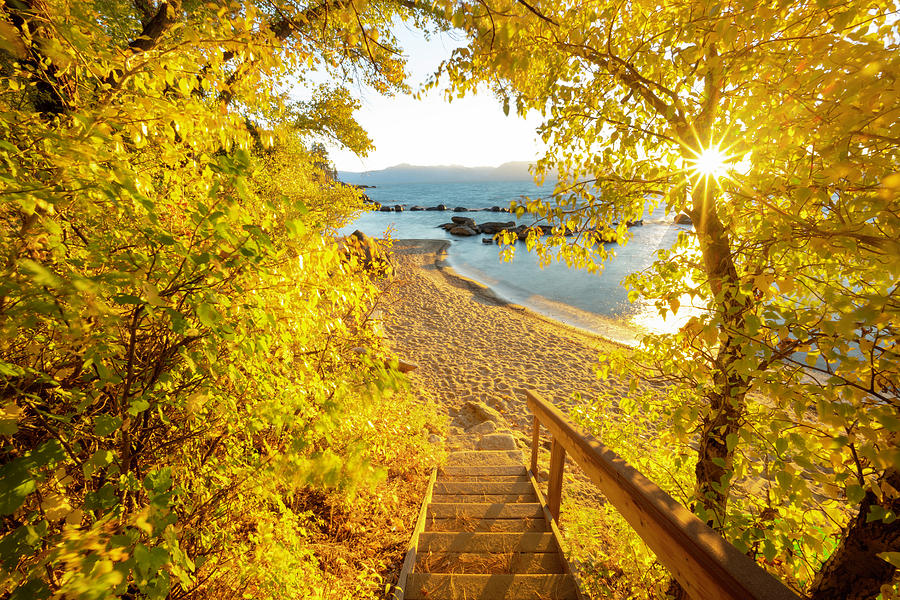 Autumn Steps - Lake Tahoe Photograph