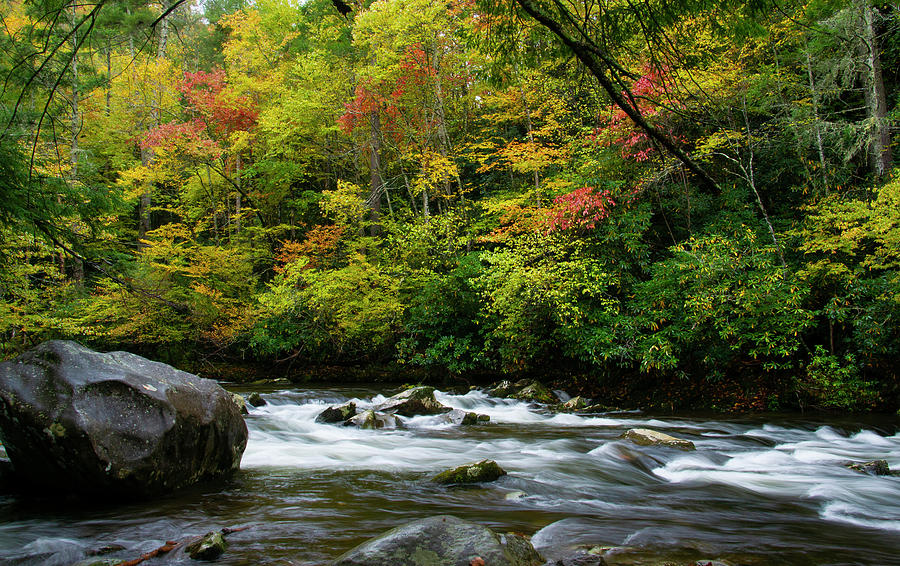 Autumn Stream 2 Photograph by Larry Bohlin