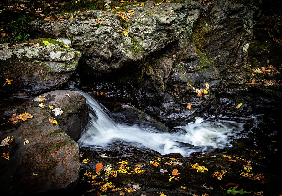 Autumn Stream at Chapel Falls 1 Photograph by Michael Saunders
