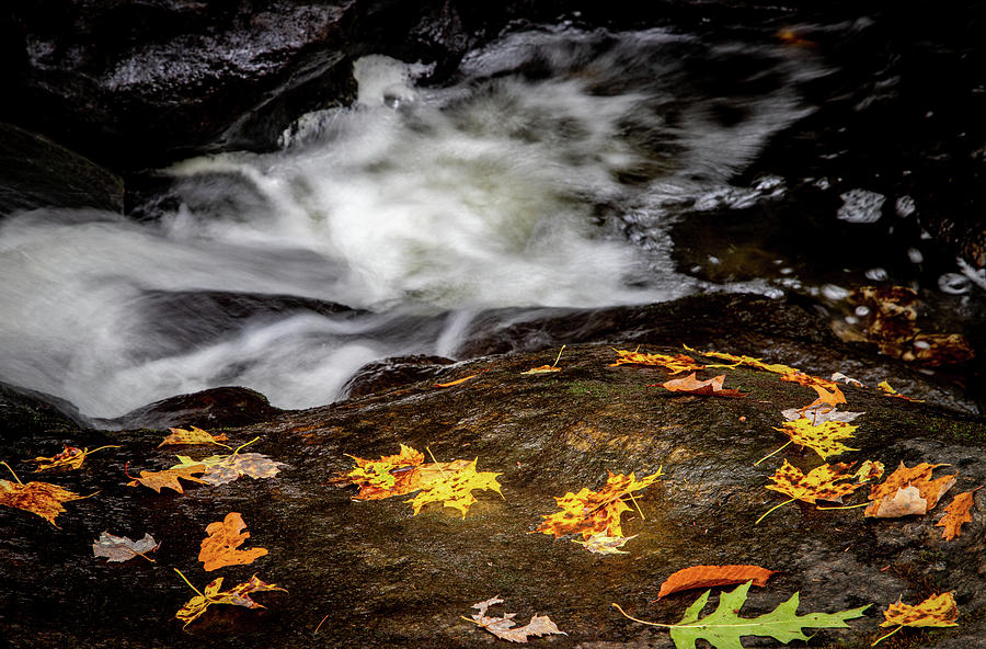 Autumn Stream at Chapel Falls 2 Photograph by Michael Saunders