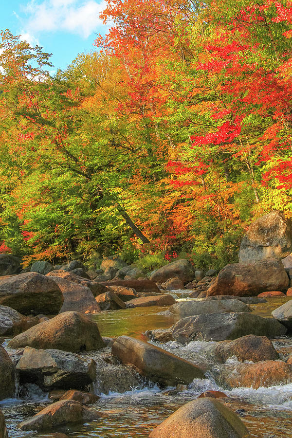 Autumn Stream Photograph by Dan Sproul