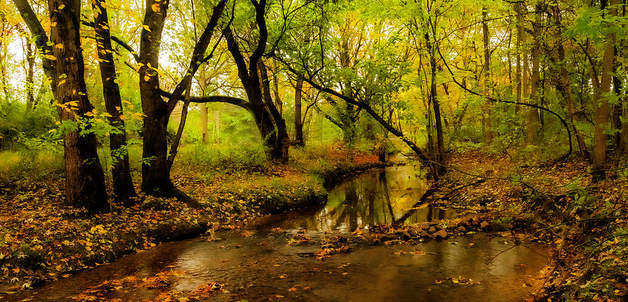 Autumn Stream Photograph by Elsa Santoro