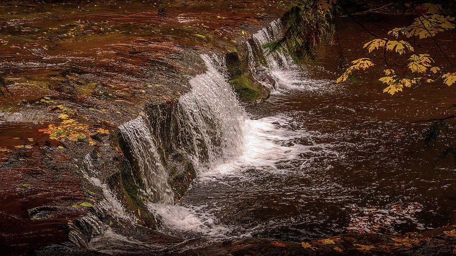 Autumn Stream Falls in Brown Photograph by Bill Posner