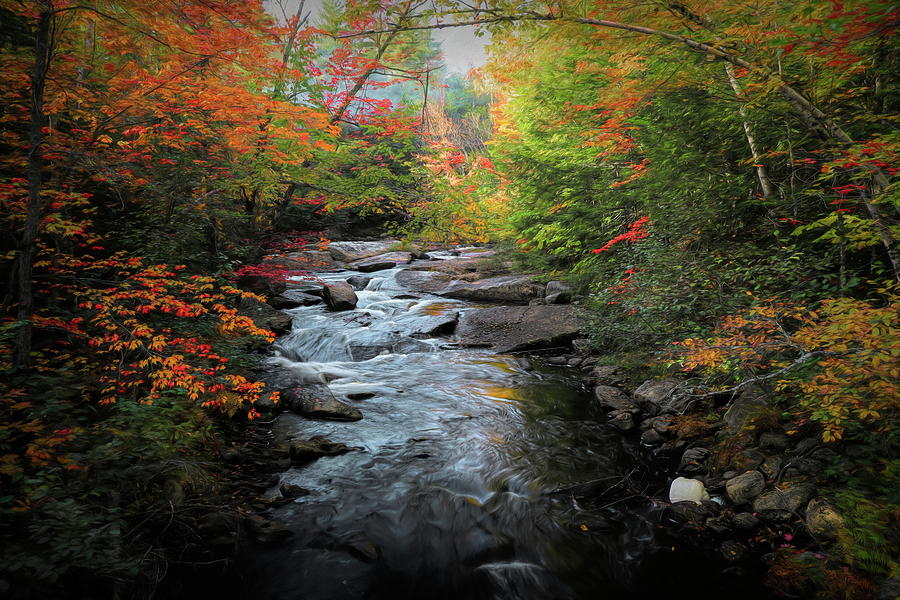 Autumn Stream In Baxter State Park Painting by Dan Sproul
