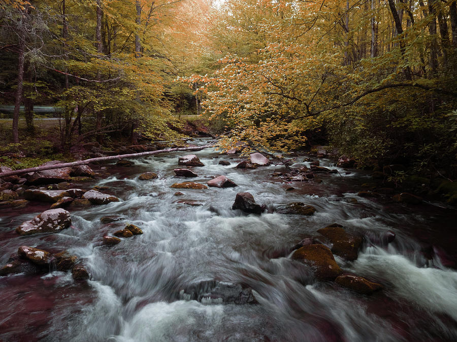 Autumn Stream in the Smokies Photograph by James C Richardson