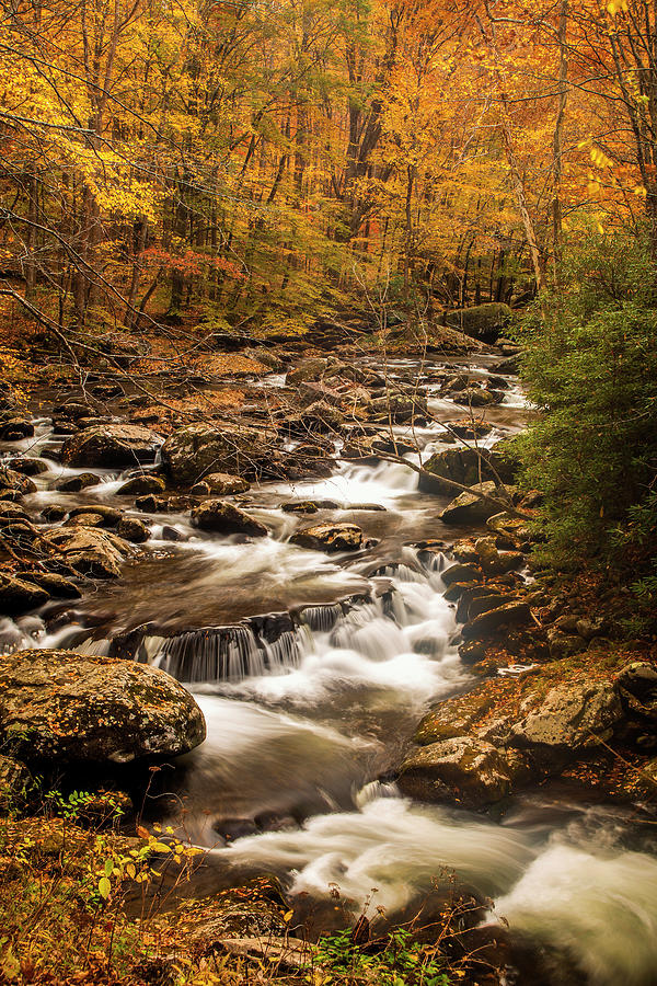 Autumn Stream in the Smokies #2 Photograph by Andrew Soundarajan