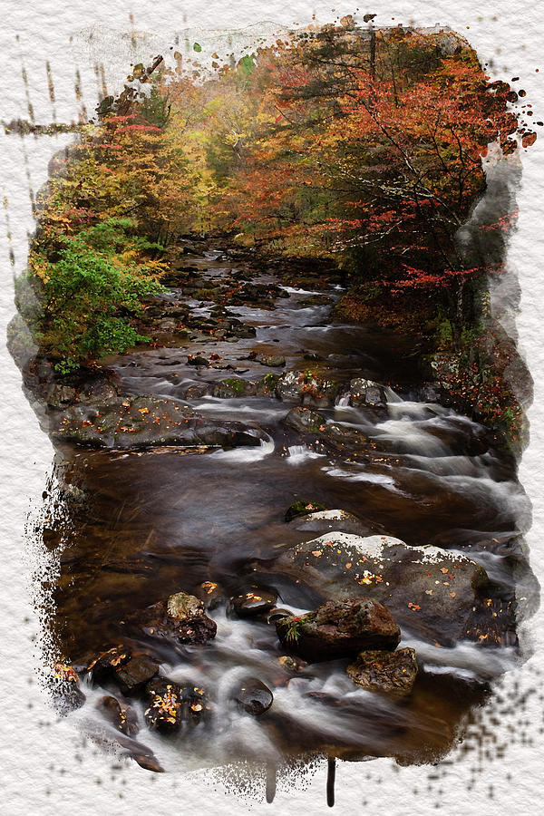 Autumn Stream Print Photograph by Andrew Soundarajan