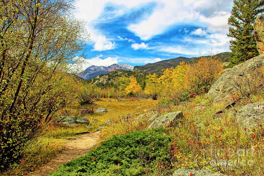 Autumn Stroll In The Park Photograph by Jon Burch Photography Autumn Stroll In The Park Photograph by Jon Burch Photography