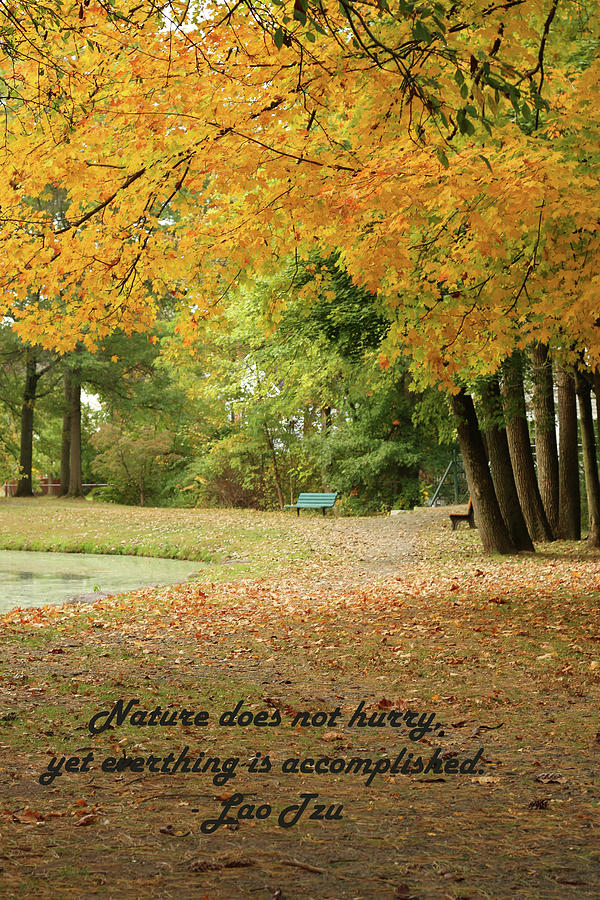 Autumn Stroll Inspirational Photograph by Laurie Lago Rispoli