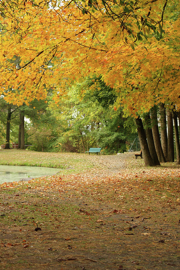 Autumn Stroll Photograph by Laurie Lago Rispoli