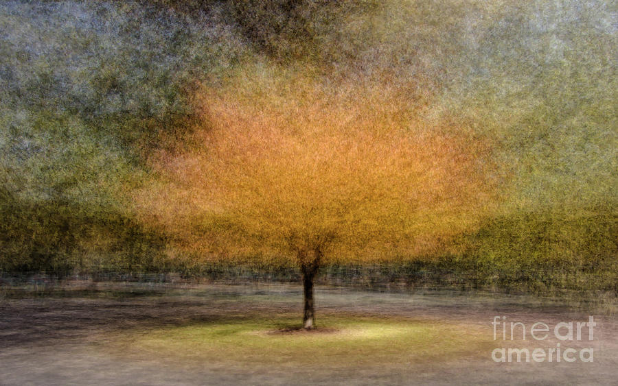 Autumn Sunlit Tree - Composite Photograph