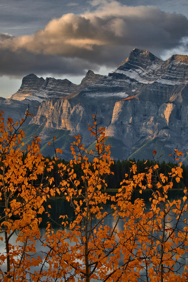 Autumn Sunrise - Banff Photograph by Stephen Vecchiotti