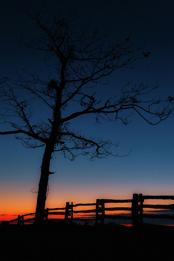 Autumn Sunrise Blue Ridge Silhouette Photograph by Dan Carmichael