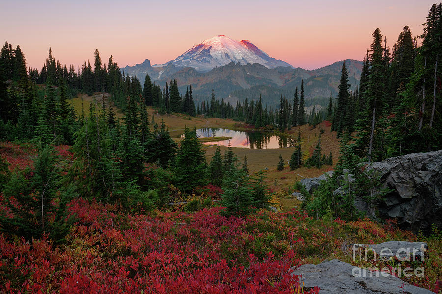 Autumn Sunrise From Tipsoo Lake in Mount Rainier National Park Photograph by Tom Schwabel
