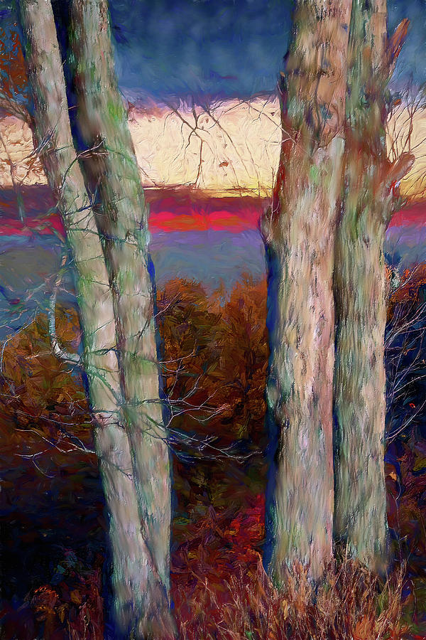 Autumn Sunrise on Tree Trunks ap Painting by Dan Carmichael